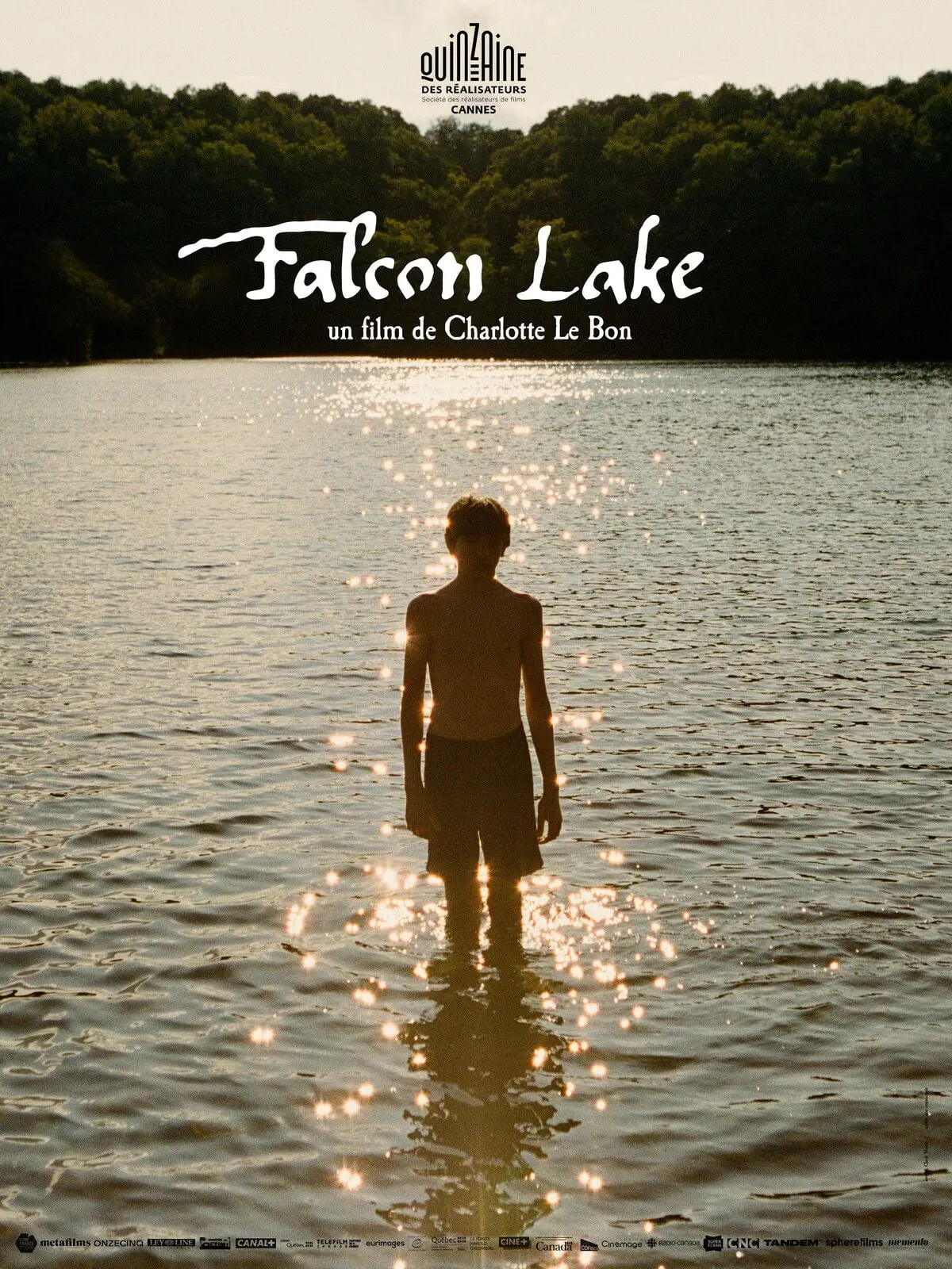 Falcon Lake Poster